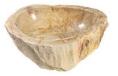 Fossil 