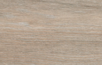 Larch