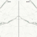 Bianco Venato Extra Block A et B