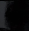 Noir Brillant 