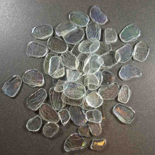 [6.2491.202] [Derniers stocks] Pétales Transparents Irisés