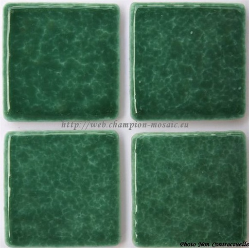 [AG31] Emaux de Briare Buis, par 100 g