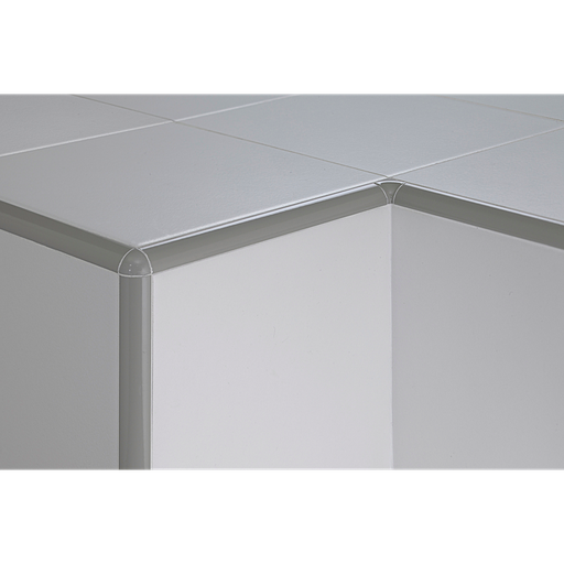 TV / - Angles Externes - Protrim - Alu Verni 